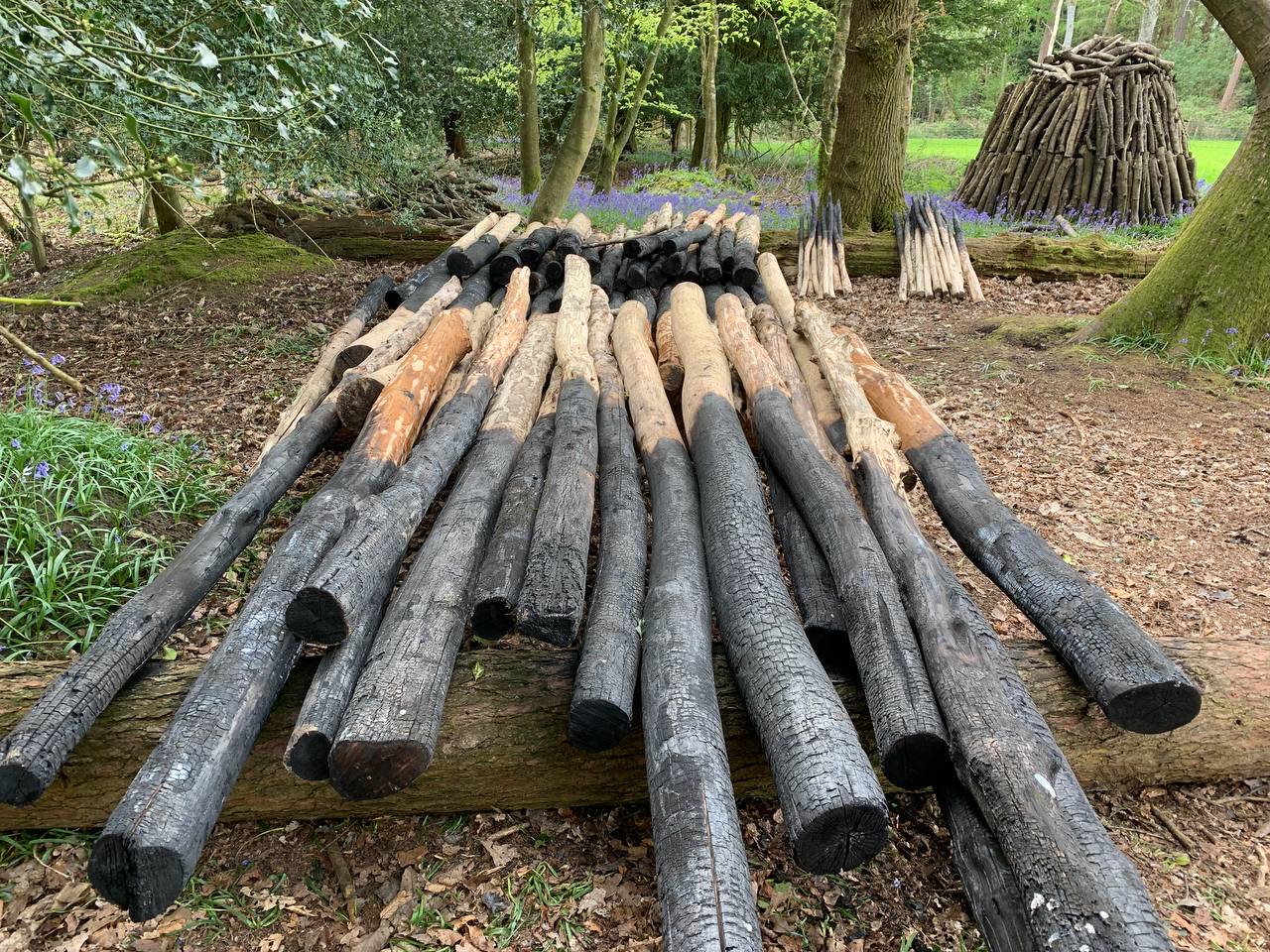 Woodland Management ~ Volunteer Action Days - image 3