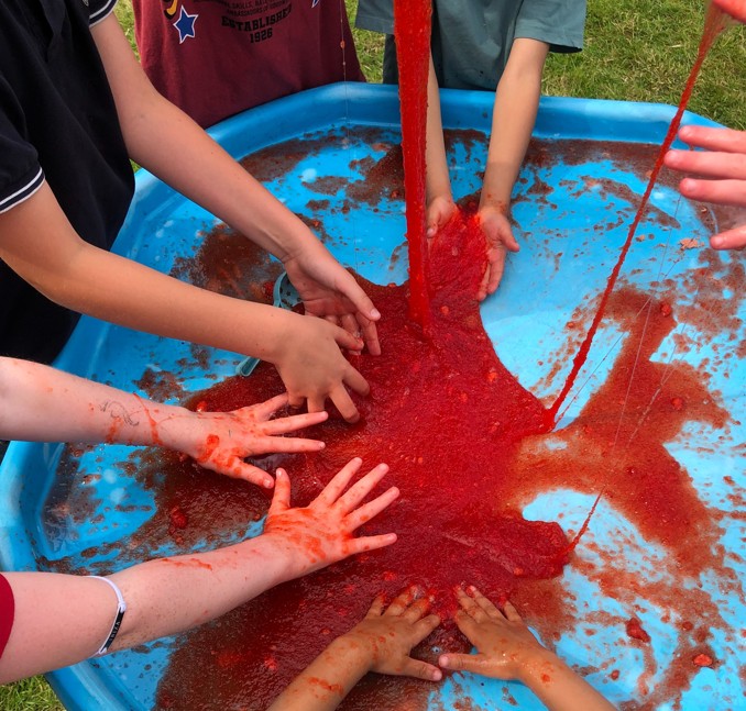 Adventure Playground: Holiday Camp - image 8