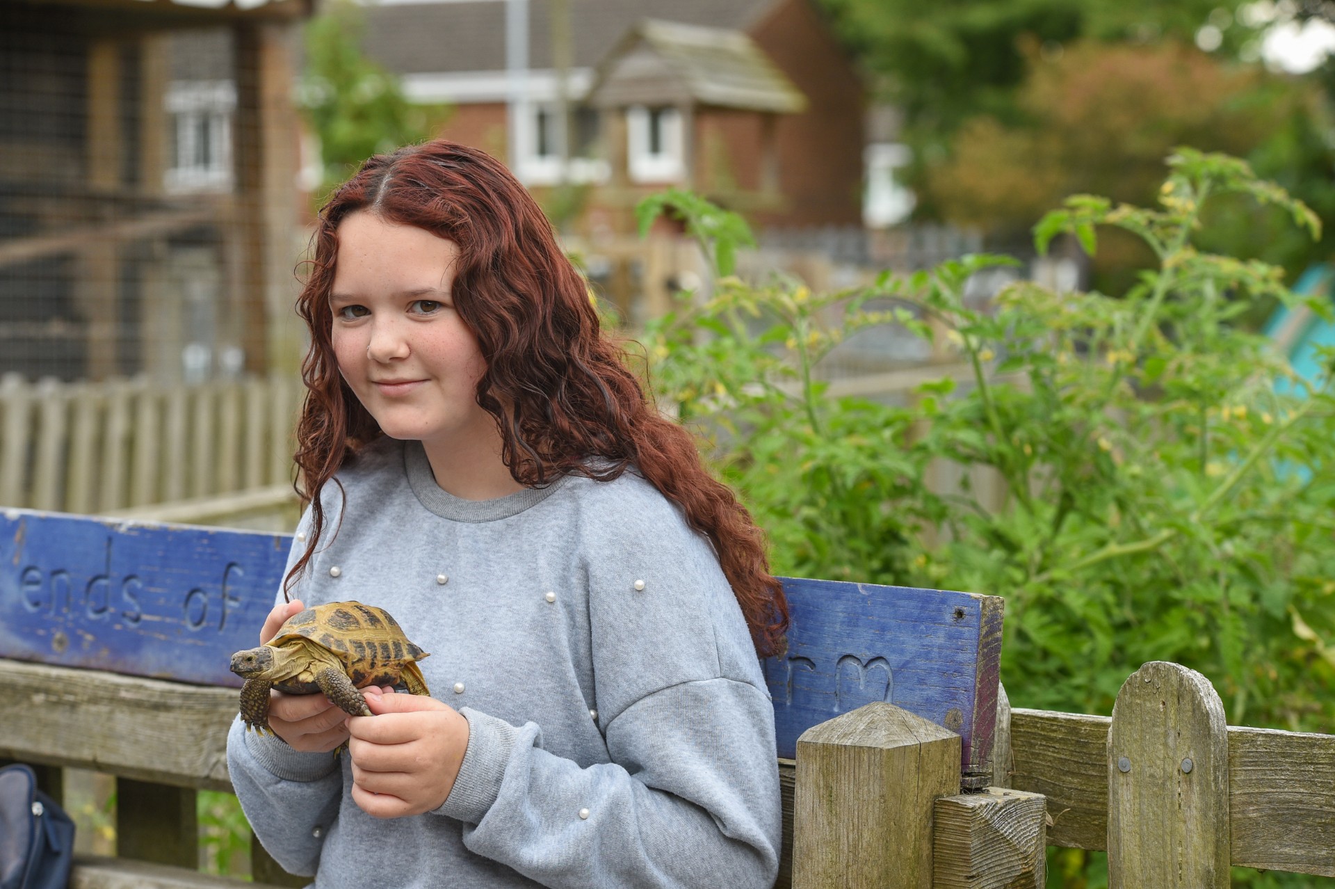 Blacon Adventure Playground - image 11