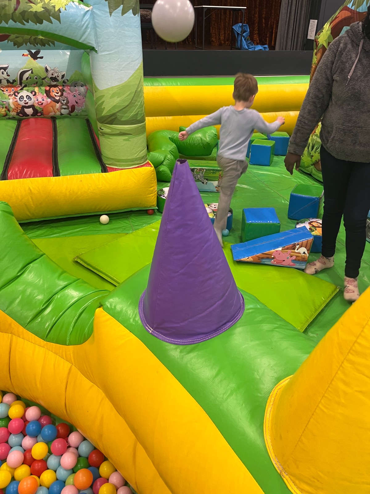 Garden Project, Inflatables...FUN! - image 4