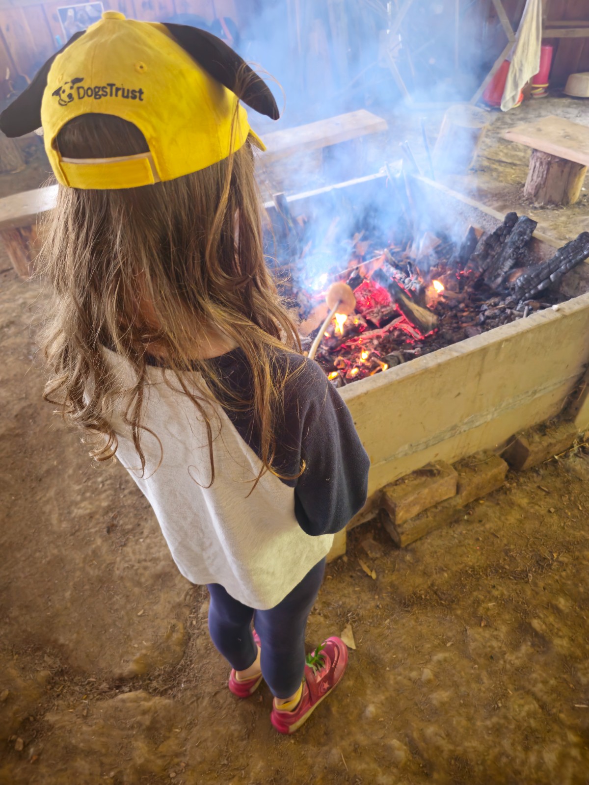 Wilderness Explorers - image 11