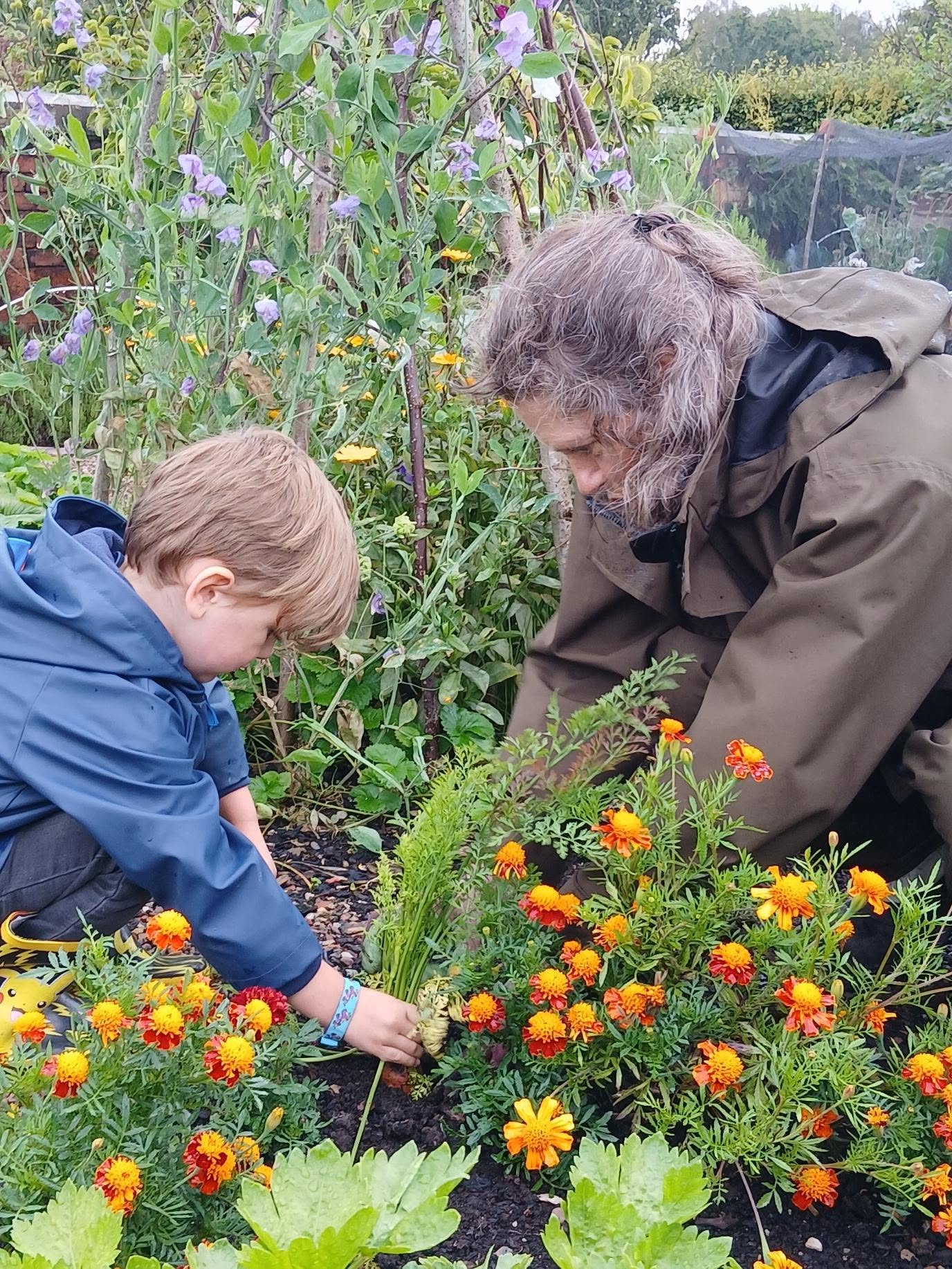 Family Wellbeing Wednesdays at the RHS - image 4