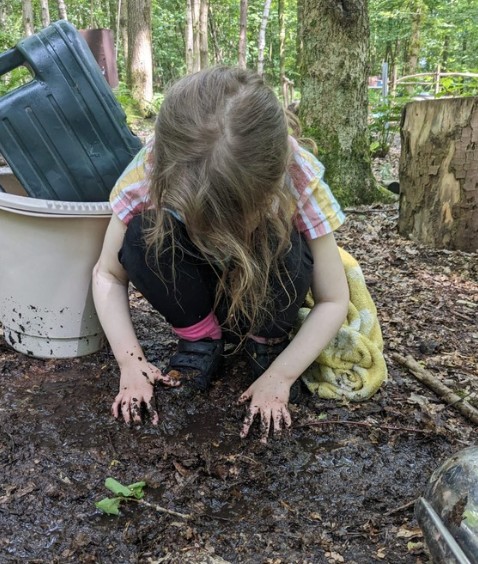 Forest Wellbeing - image 6