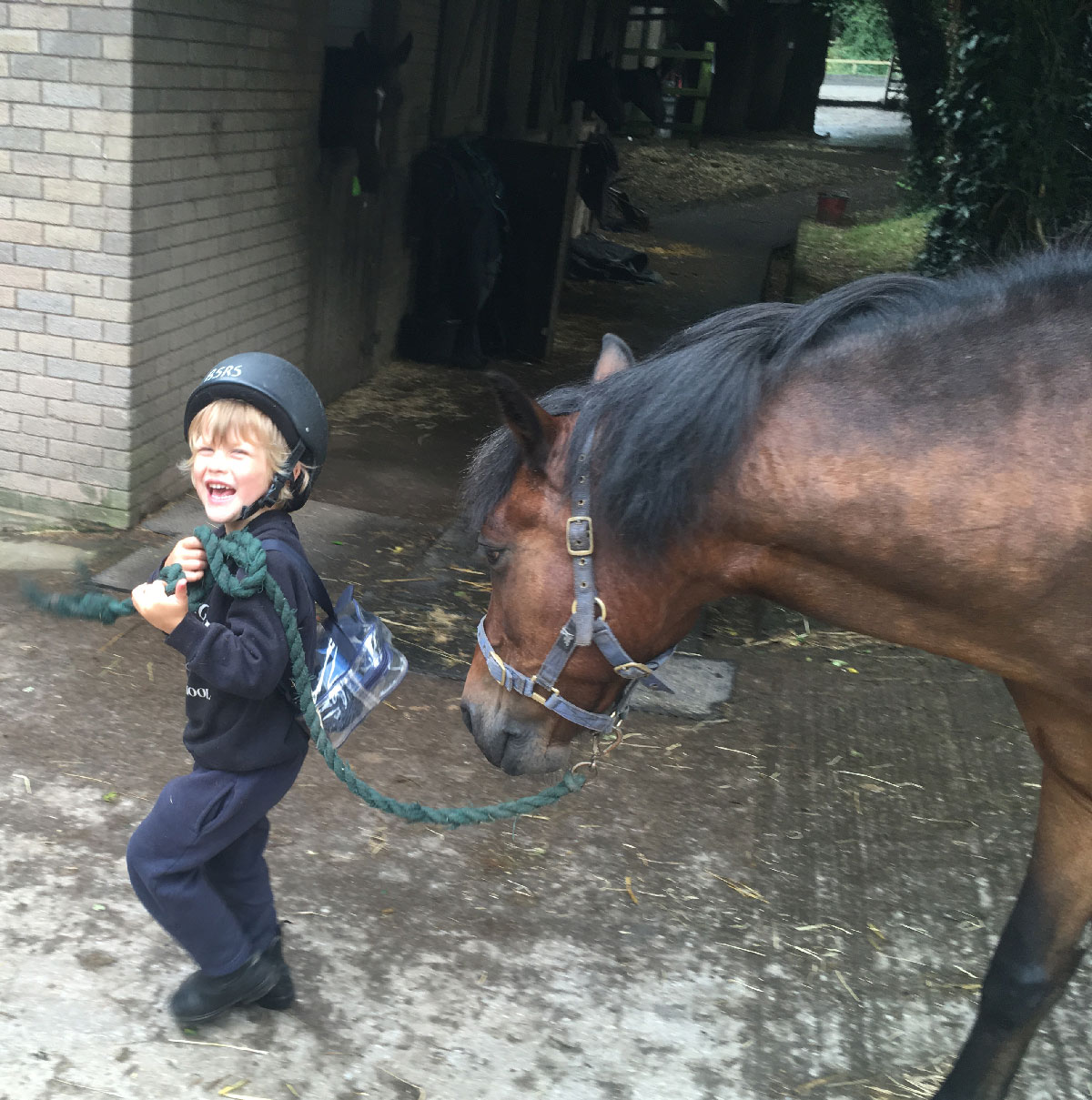 Budleigh Riding School - Pony Club ages 11-17 - image 4