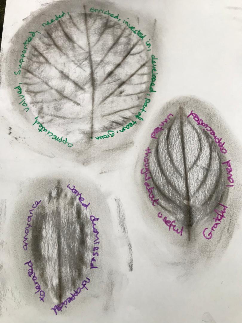 Thornham Walks Forest Bathing - image 21