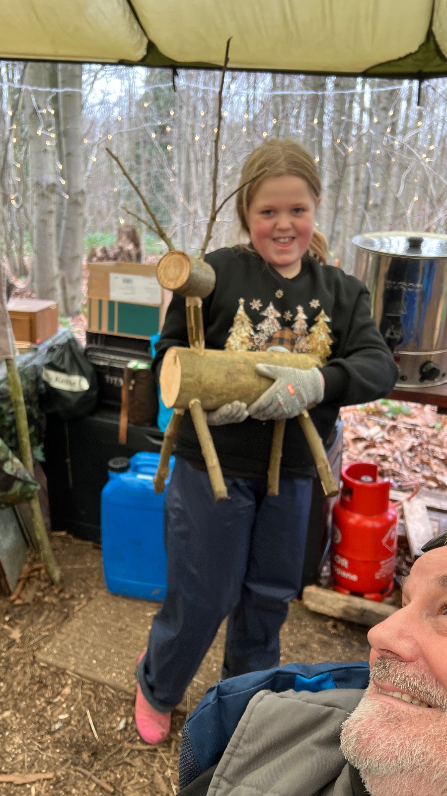 Winter In The Woods - image 4