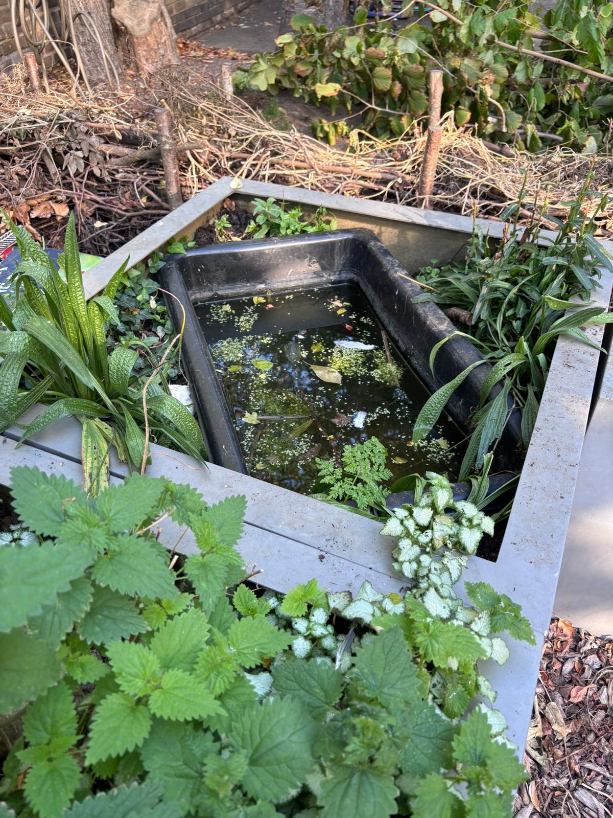 Urban Forest School Meet Up - image 2