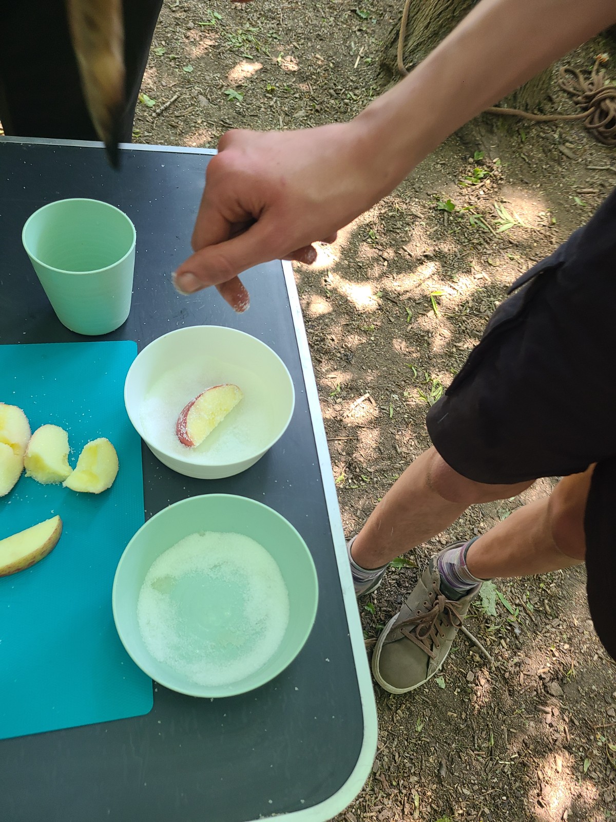 Summer Forest Adventures & Wild Skills Day Out - image 3