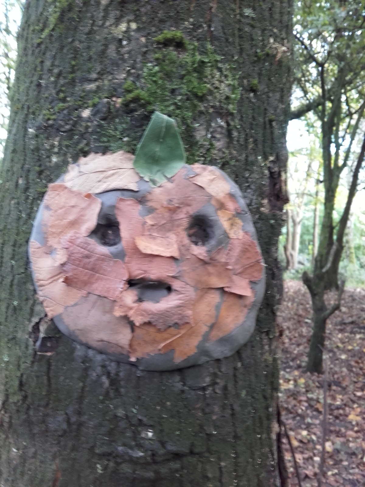 Staffs Wildlife; Biddulph Halloween Wildplay block mentored by Staffordshire Wildlife Trust