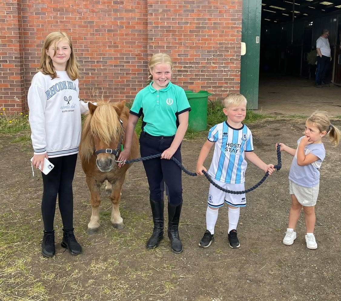 S.E.N.D OWN A PONY FOR A DAY! - image 4