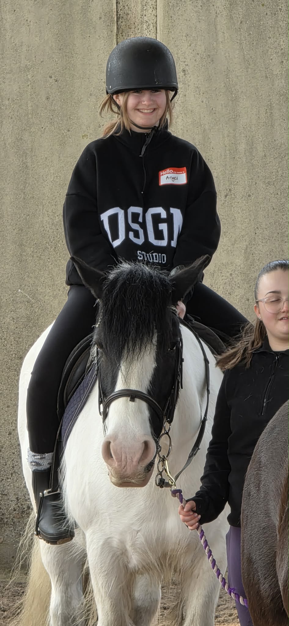 Secondary Horse & Pony Experience @HowdenEques - image 13