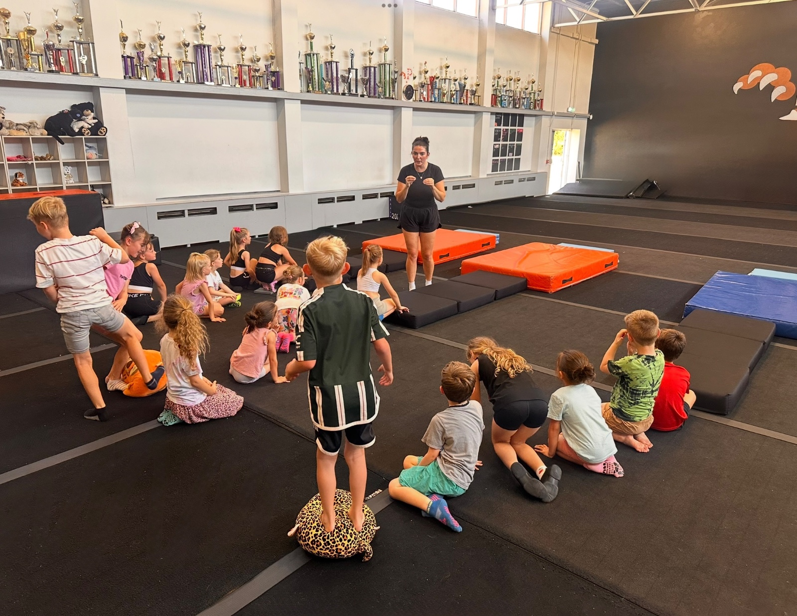 School’s Out - HAF Cheer Camp! - image 2