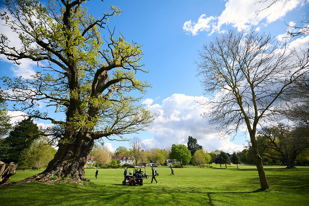 Golf Camp @ Brent Valley Golf Course - image 6