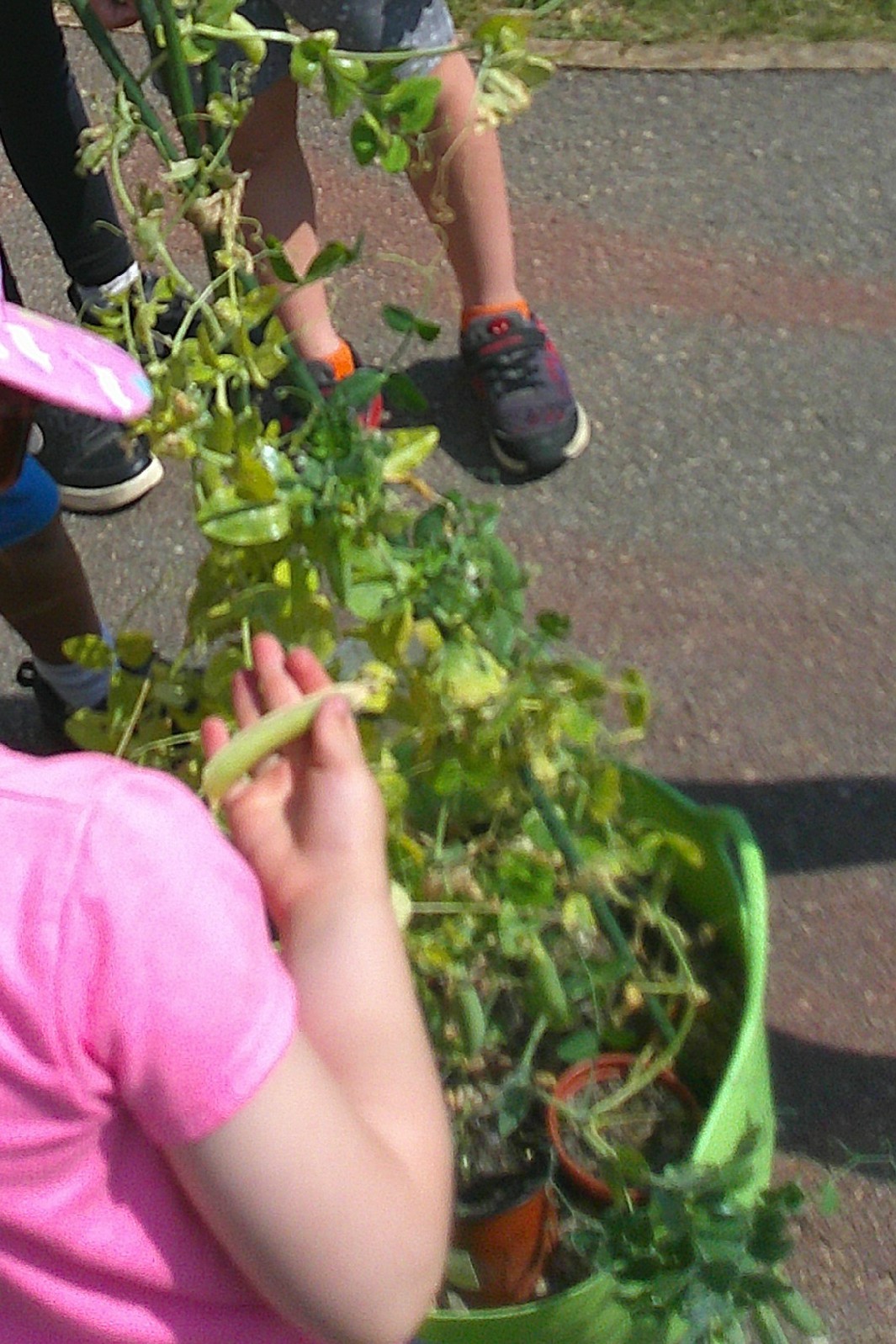 Happy Days Childcare - Ecton Brook HAF - image 13