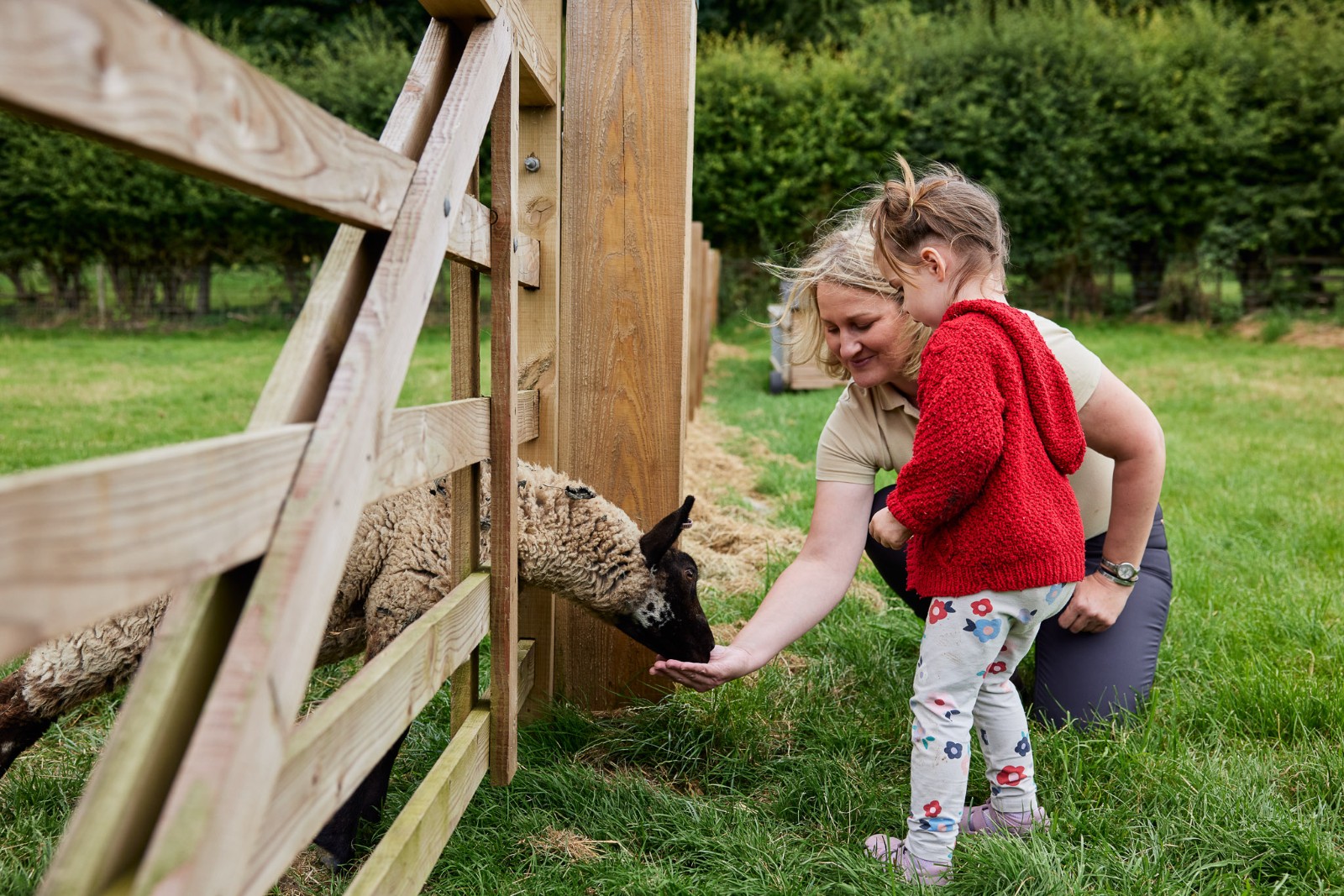 Farm & Outdoor Adventure @ Market Weighton - image 21