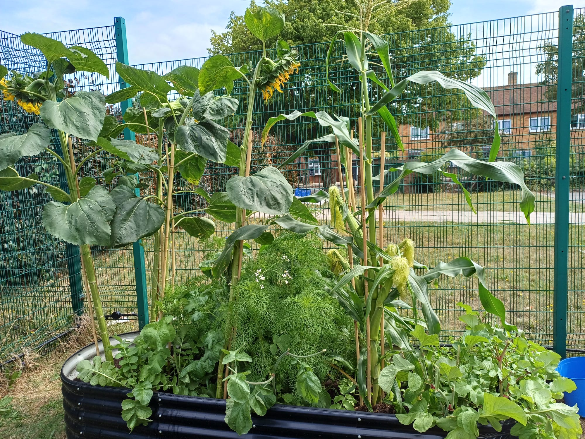 Hainault Youth Centre - Summer 2026 - image 5