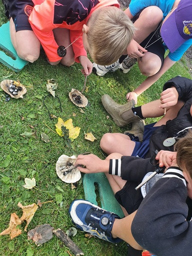 In the Canopy: Outdoor Adventure - Howden - image 7