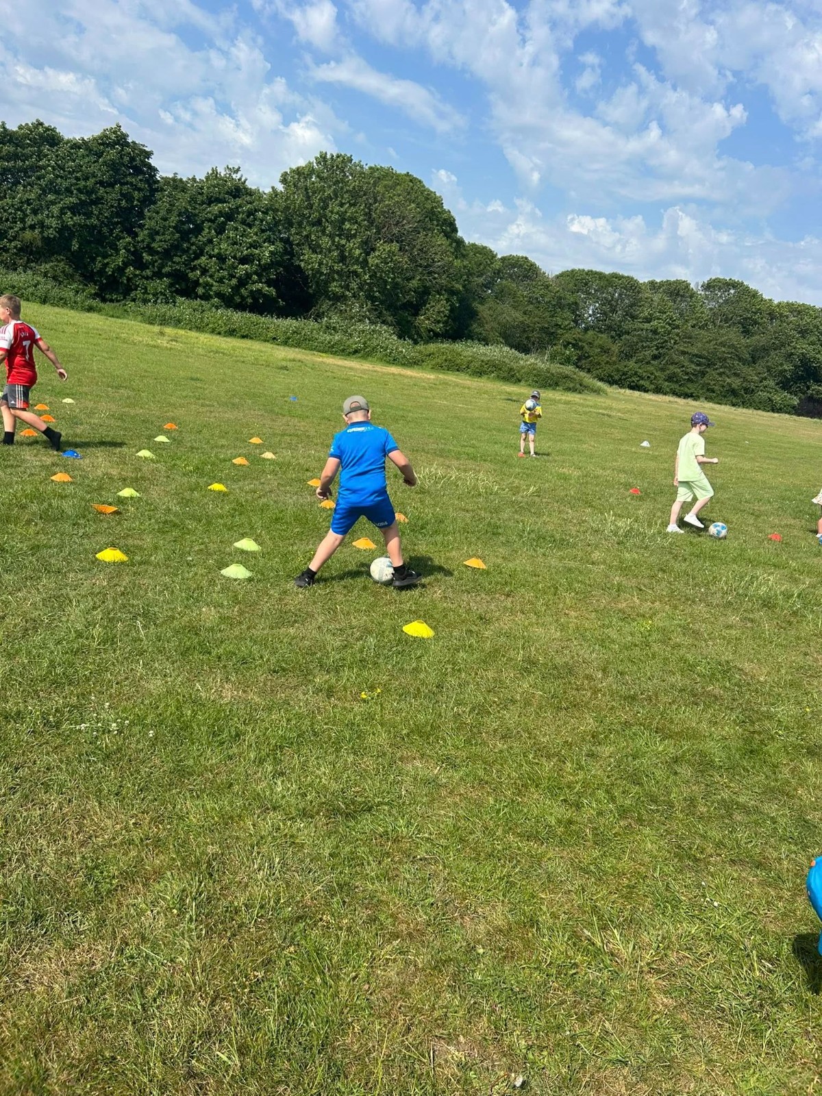 Summer HAF at Herlington - image 5