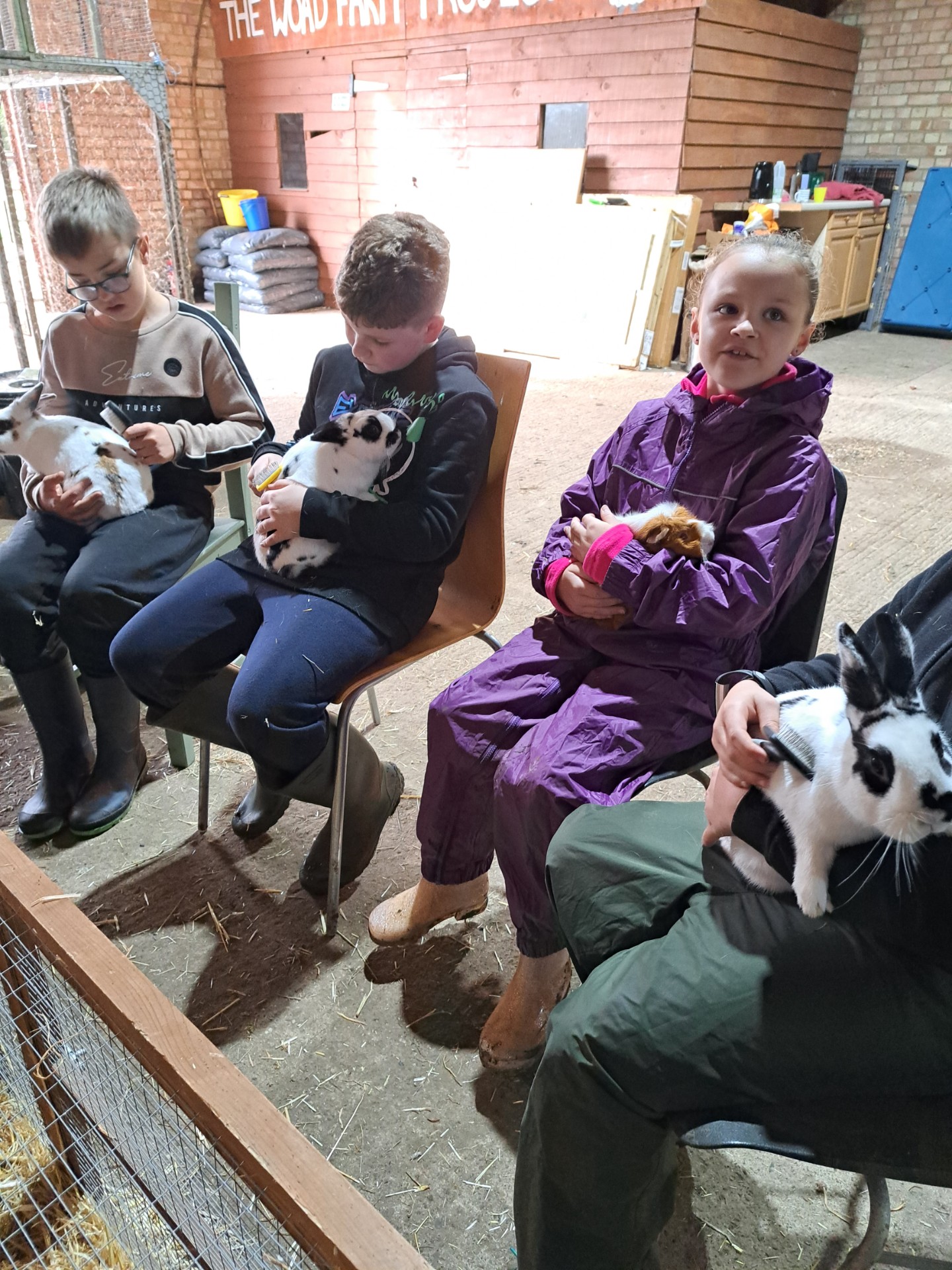 Home School Groups - image 6