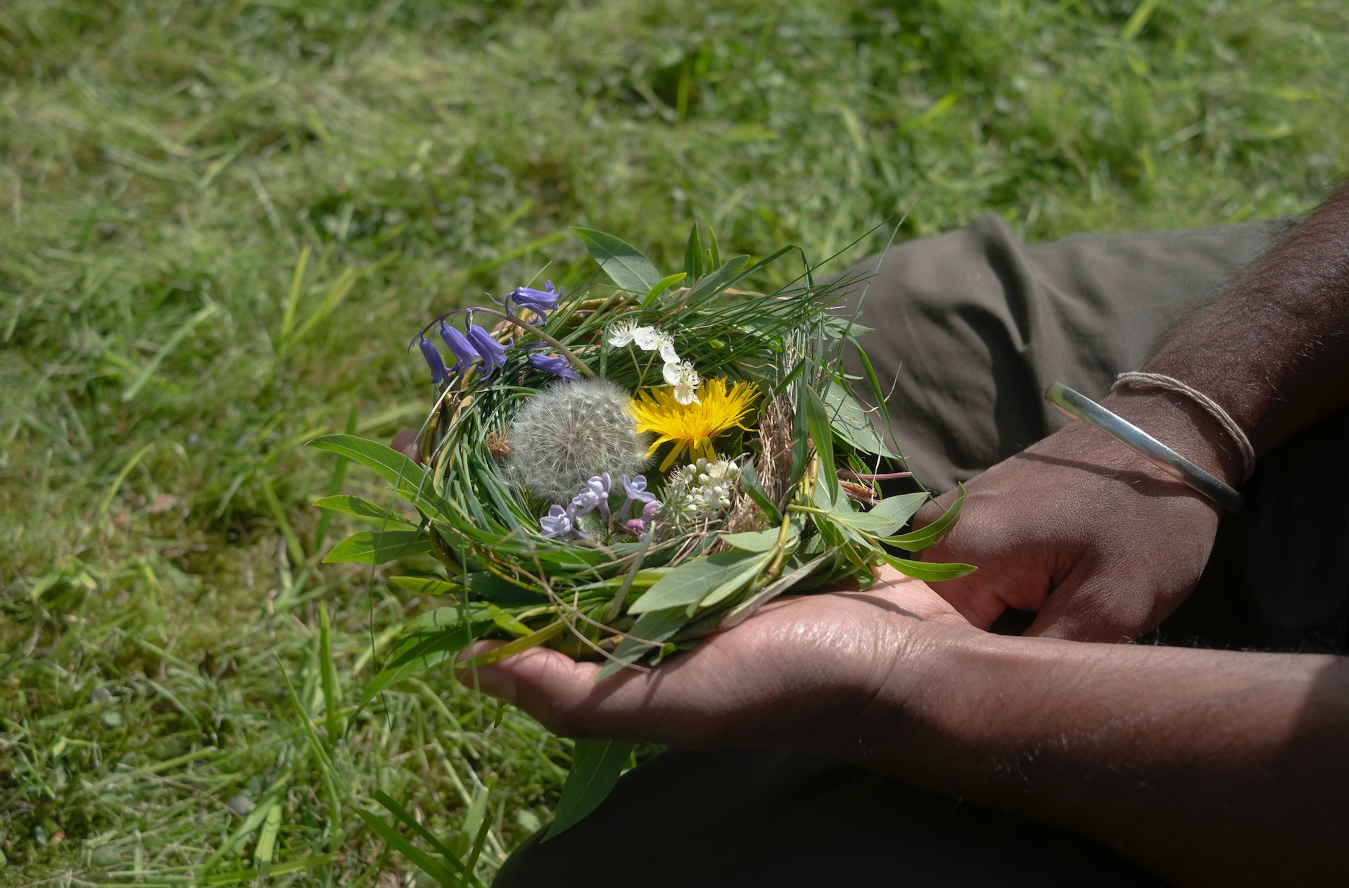 Embodied Ecology - image 10