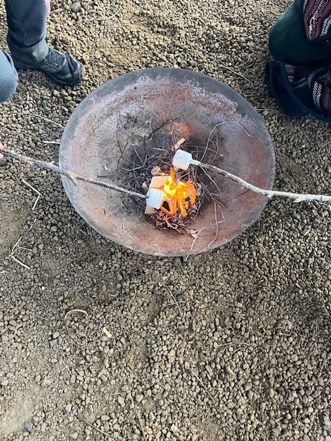 RE:Wild – Forest School Club for SEND Children block mentored by Take Action Together