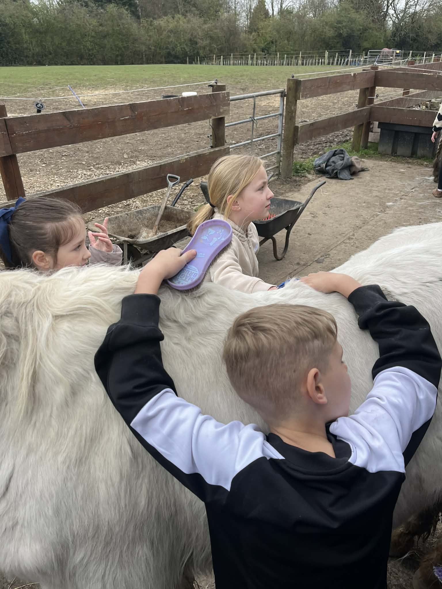 Zoe's Party Animals- Holiday club- Inc HAF - image 11