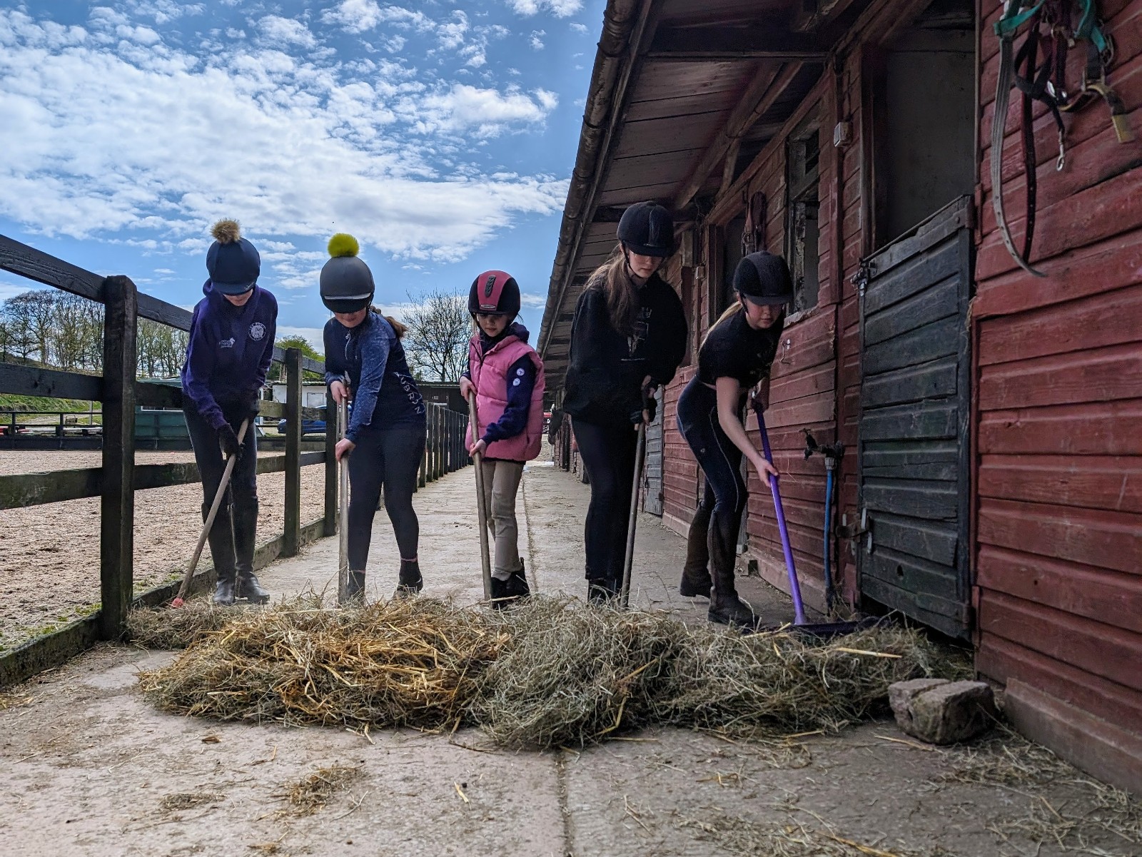 Equine Wellbeing & Activity -Harness Change - image 4