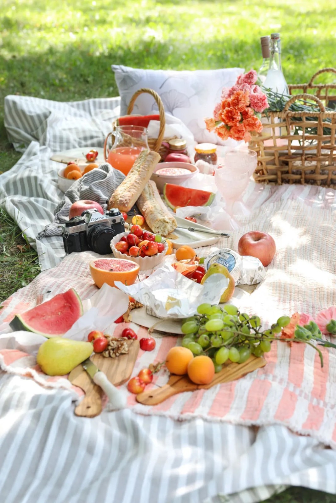 Family Picnic in the garden block mentored by Ross on Wye Community Garden
