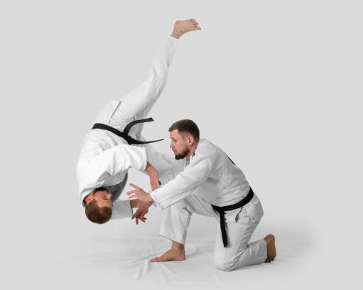 Milton Keynes Aikido Club (EHCP+)   ✨ - image 16