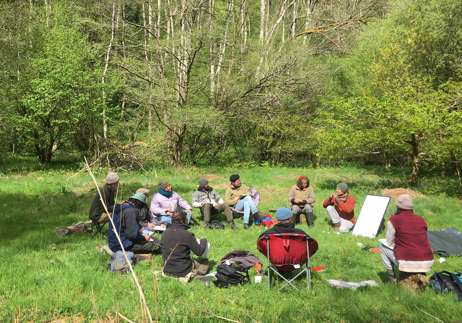 Embodied Ecology - image 5