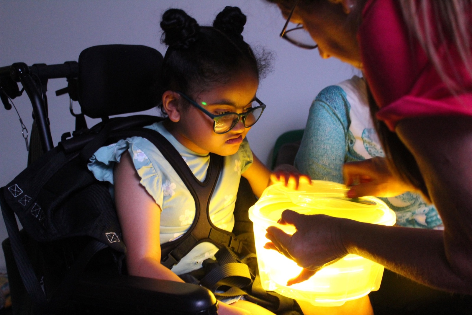 Blossoms SEND CIC - image 2