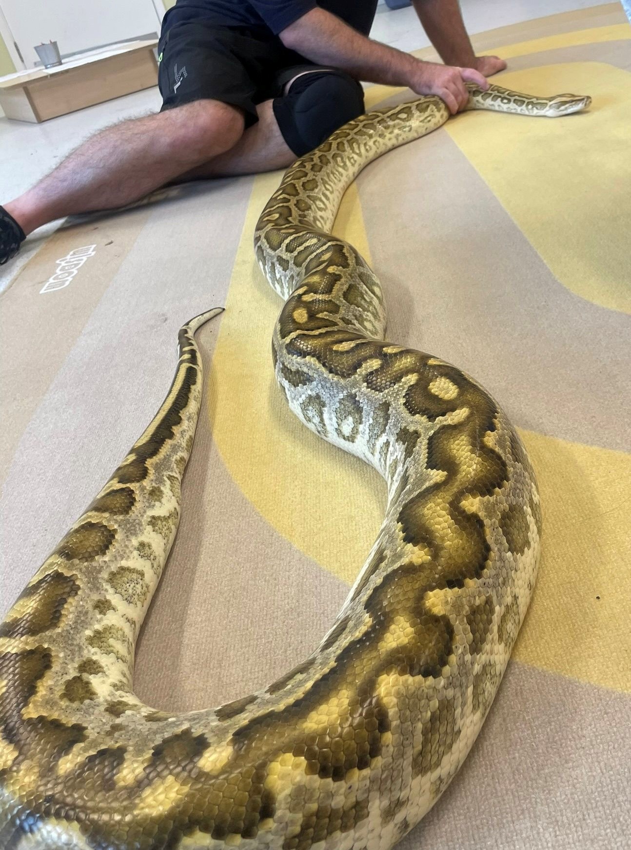 North Family Hub - Holiday Activities - image 4