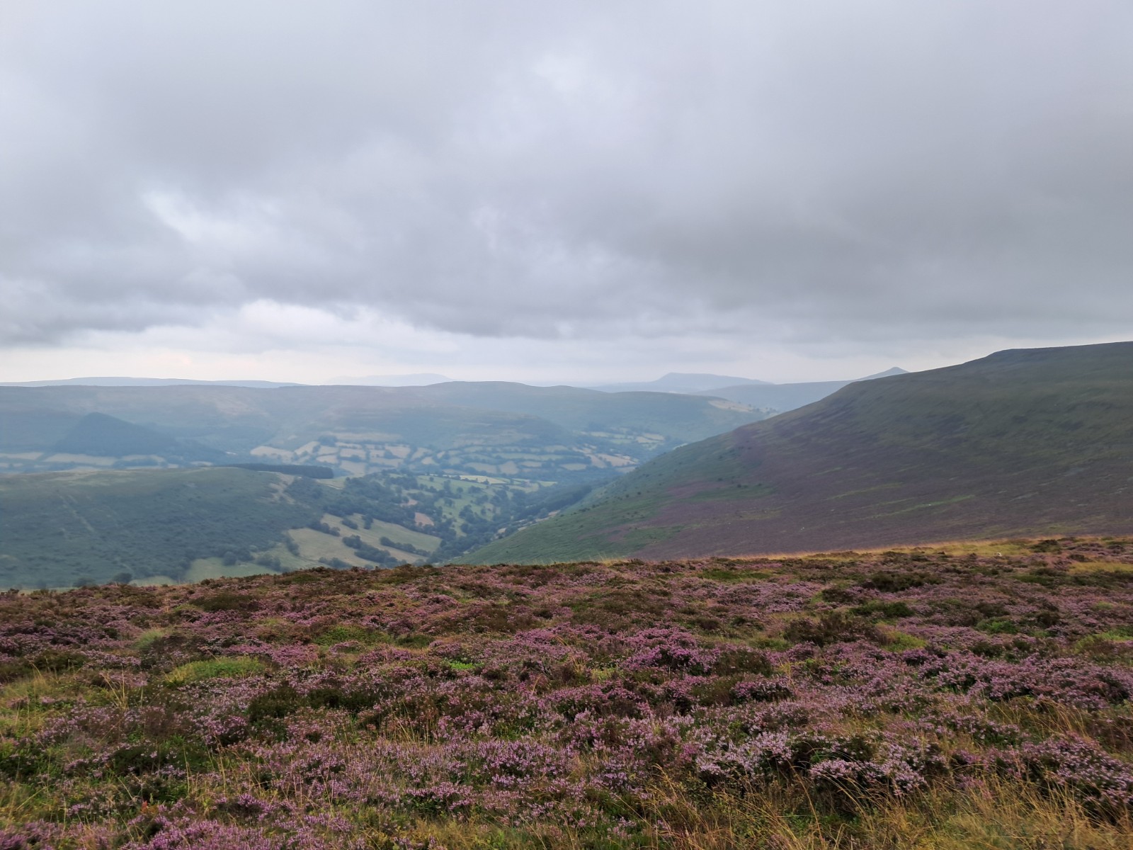 Adventure camp in the Black Mountains - image 3
