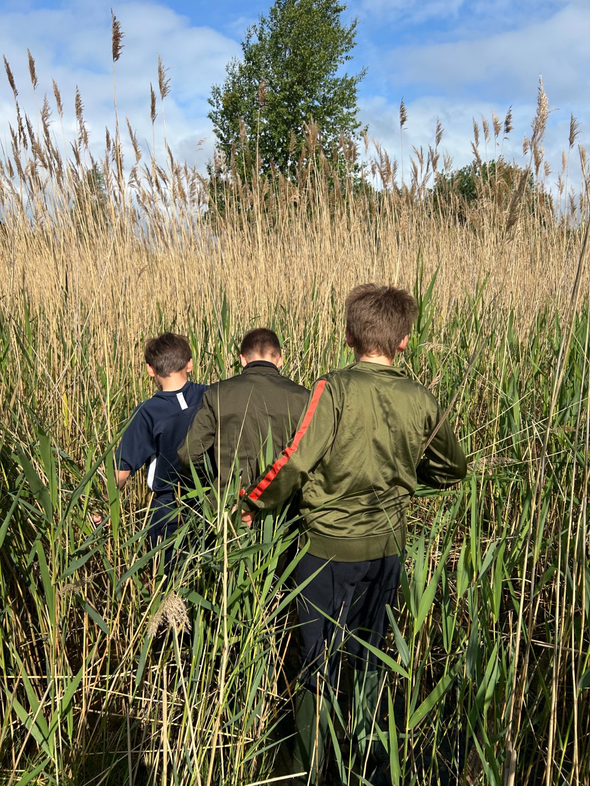 Wild Summer Humber Coastal Walk - image 2