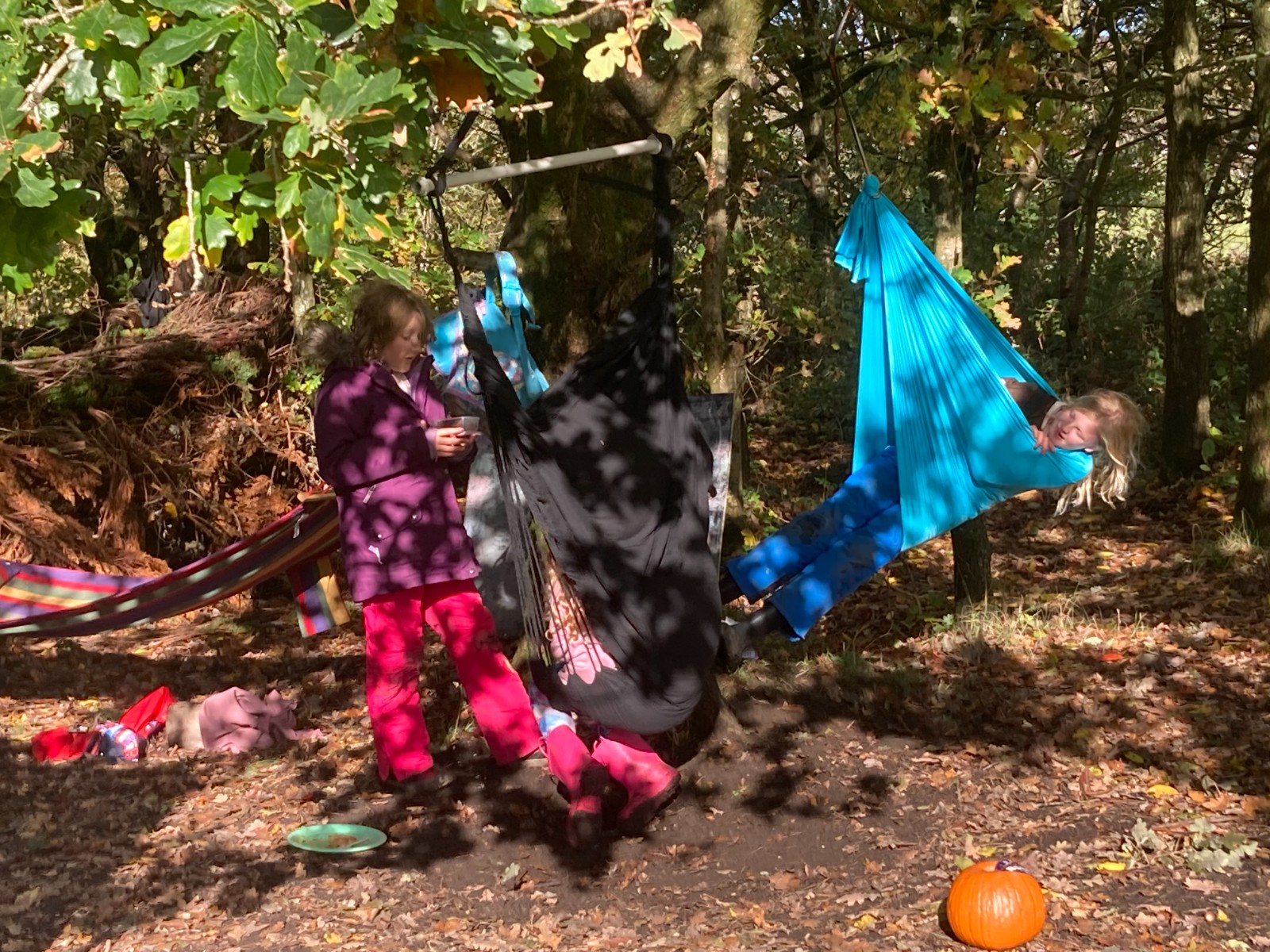 DodPod Holiday Club - image 7