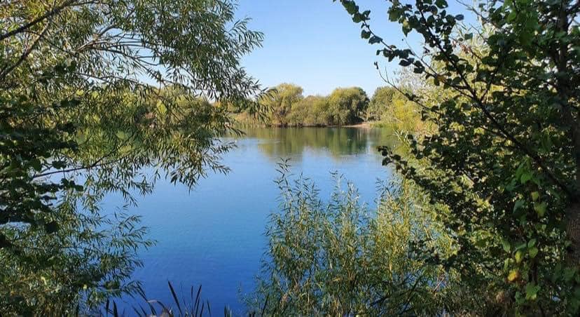 Woodland Picnic & Bunny Code Hunter (self led) - image 2