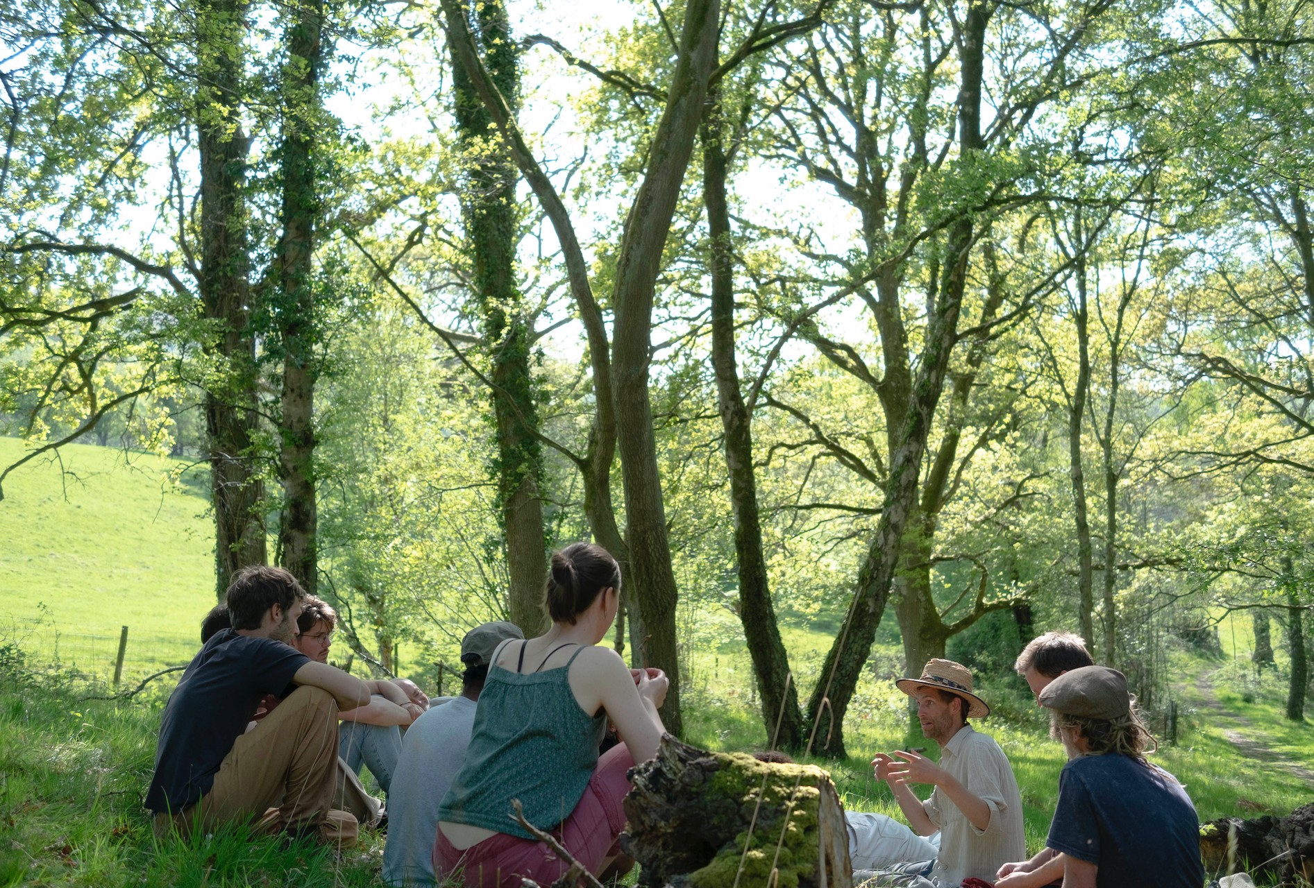 Embodied Ecology - image 9