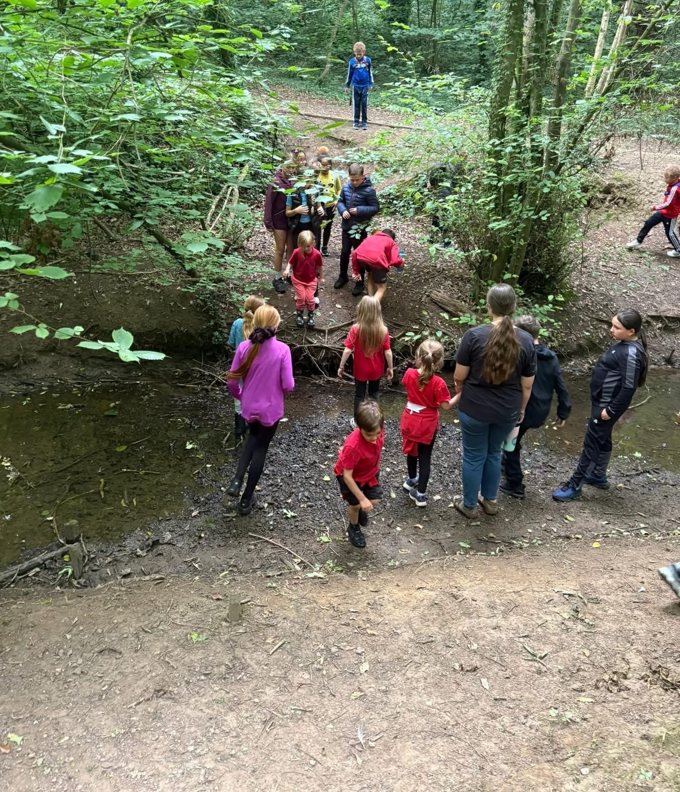 Fairydell Trip - image 3