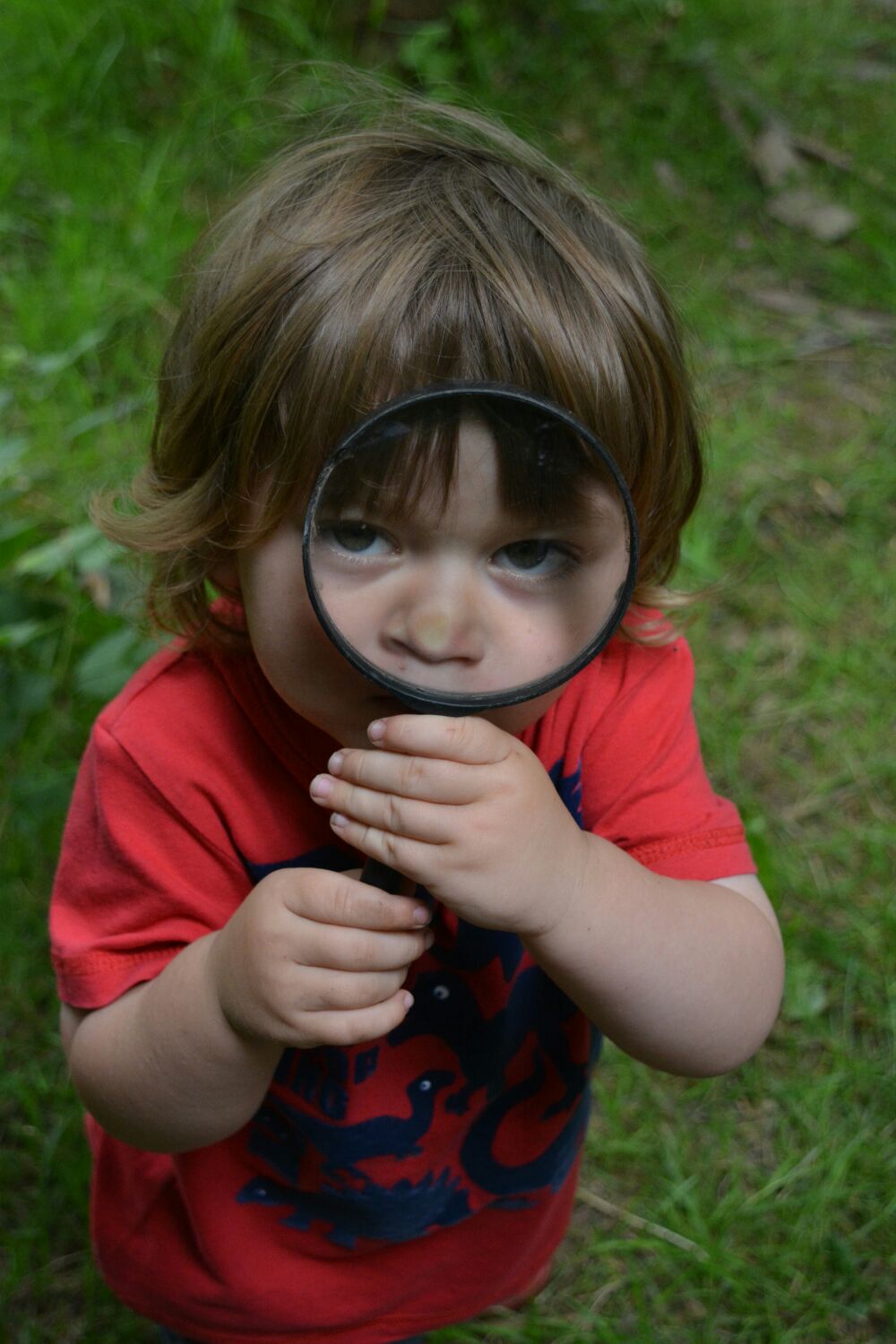 Mini Wilderness Explorers - image 18