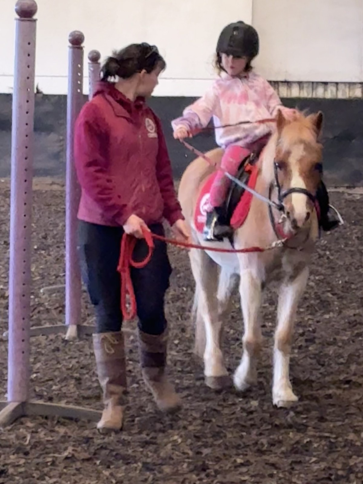 Penshaw Pony Days - image 7