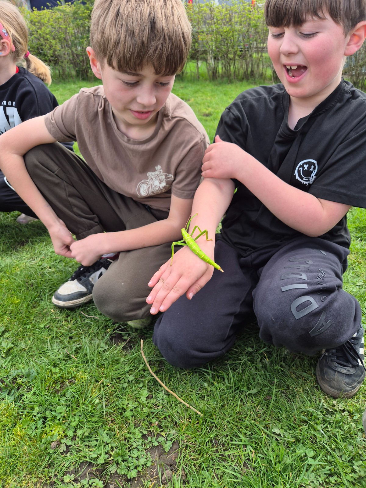 Zoe's Party Animals- Holiday club- SCIENCE DAY - image 5