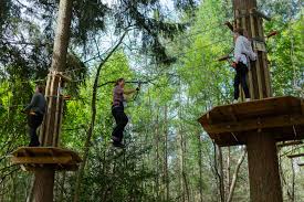 Hampshire Teen Scheme at Go Ape, Itchen Valley - image 2