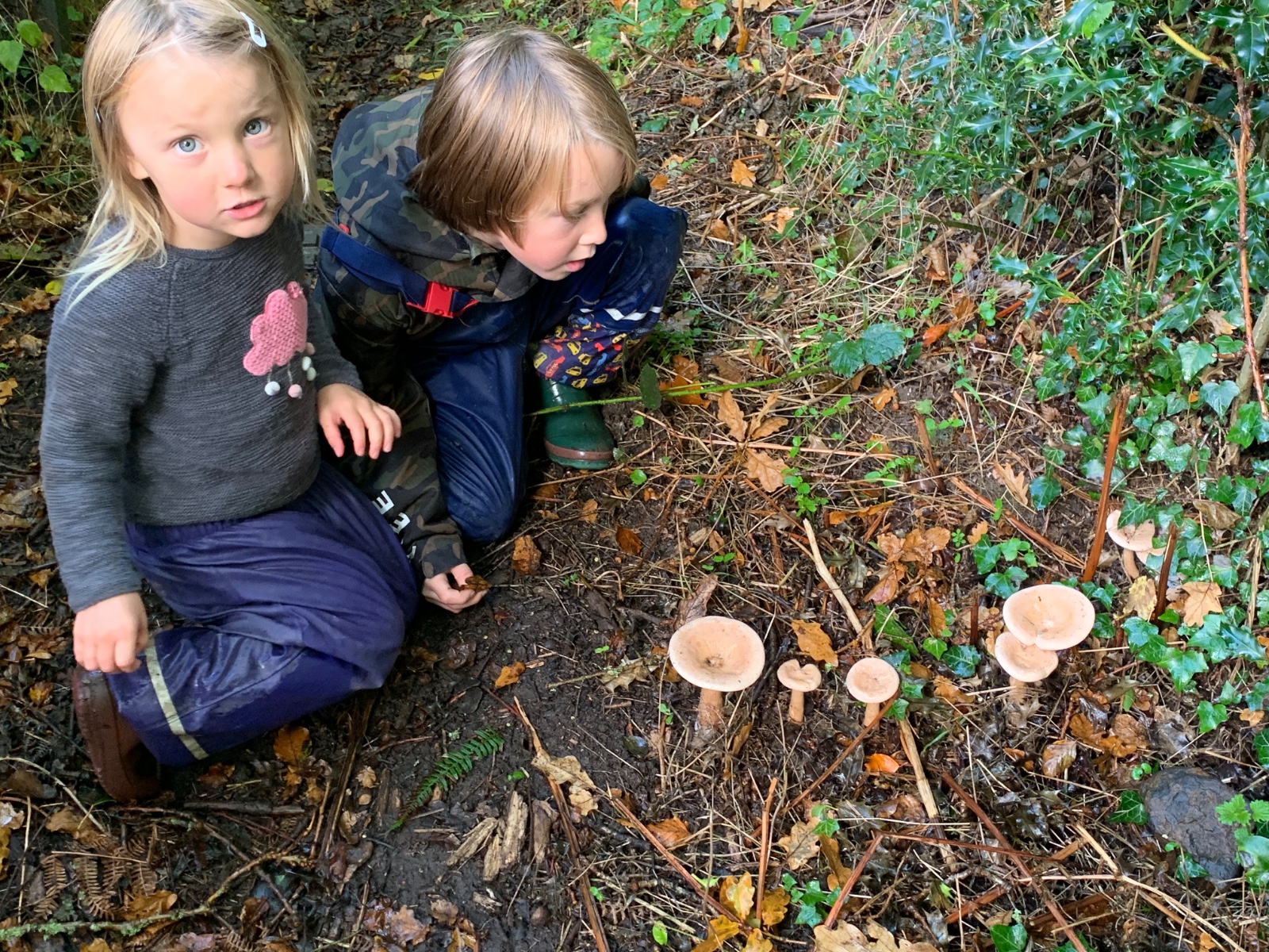 Fungi, Fire and Family Fun! - image 11