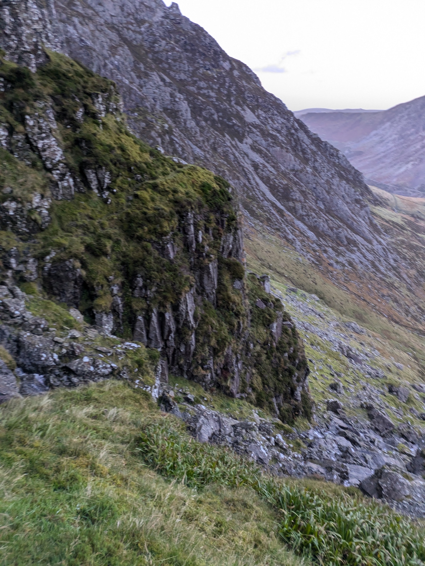 LHW Welsh 3000ers -minus the scary ones! - image 3
