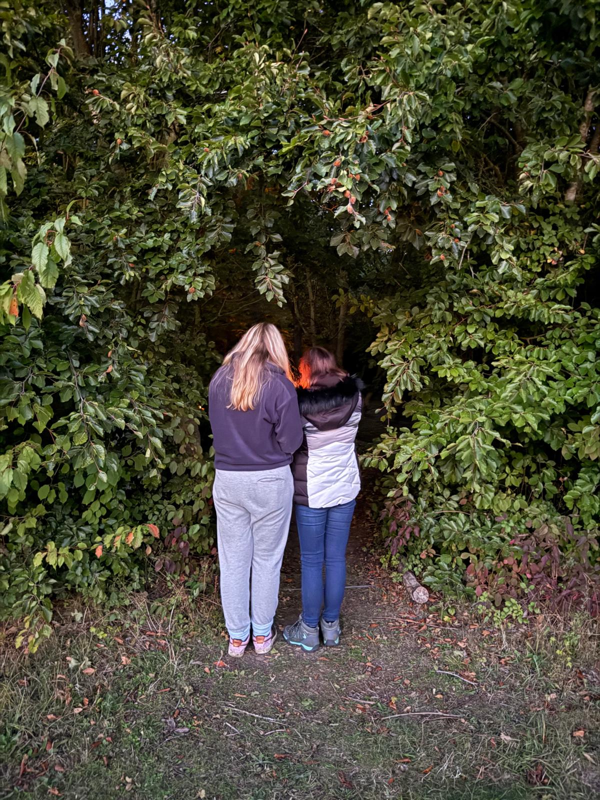 Thornham Walks Forest Bathing - image 9