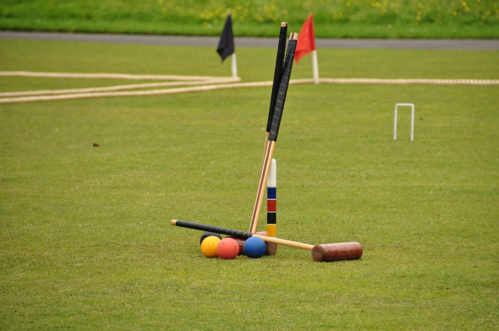 Godalming Youth - Croquet - image 2