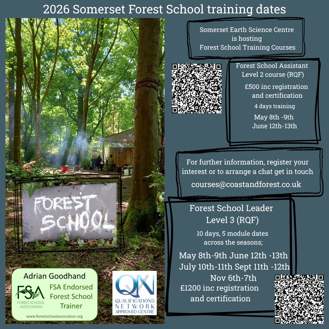 Forest school Leader Training Lvl 3 QNUK (RQF) - image 3