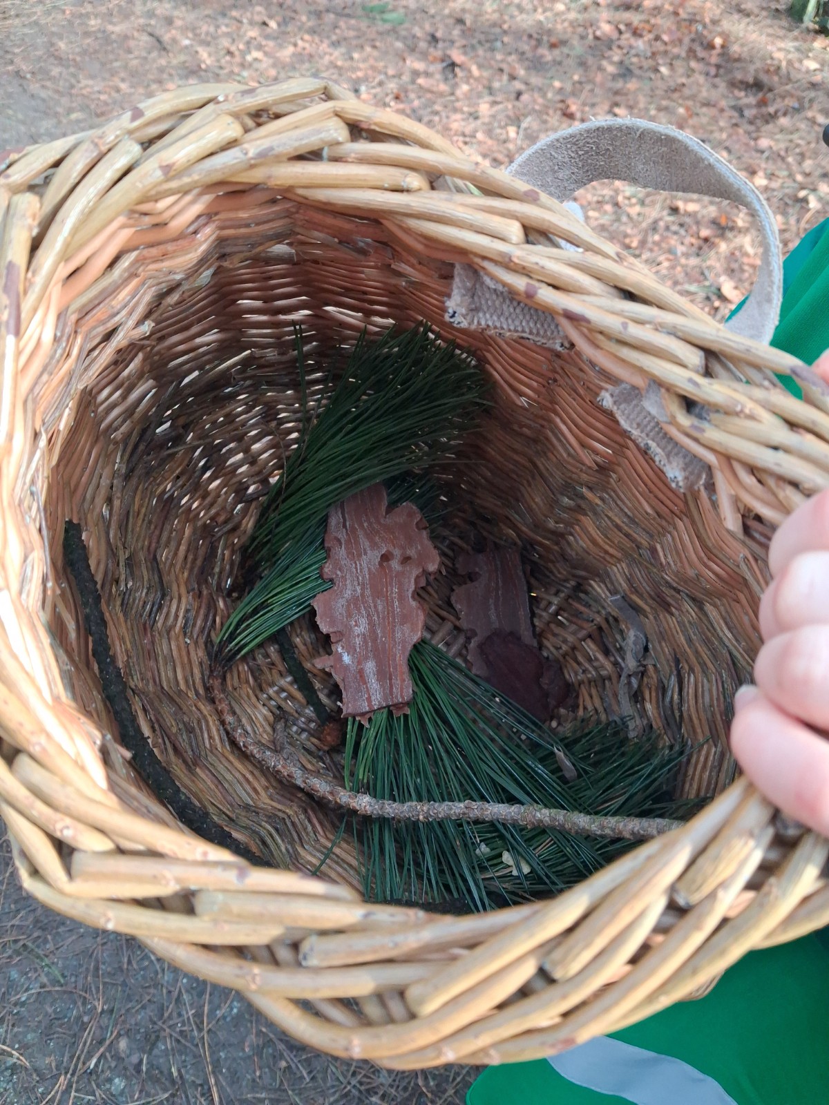 Woodland Walk & Nature Crafts Adults - image 2