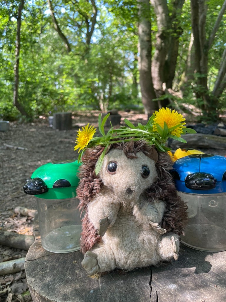 Hetty's Hedgehogs at Cogges Manor Farm block mentored by Anna Howey
