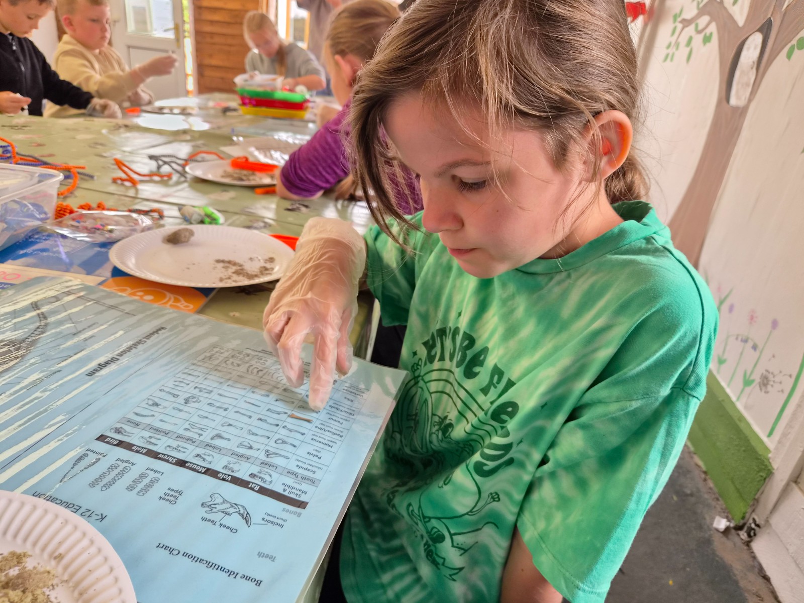 Zoe's Party Animals- Holiday club- Inc HAF - image 11